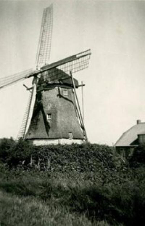 De molen van Haarle