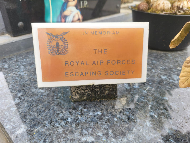 Roya Air Forces escoping society